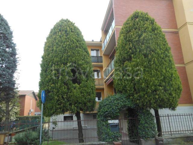 Appartamento in affitto a Zola Predosa