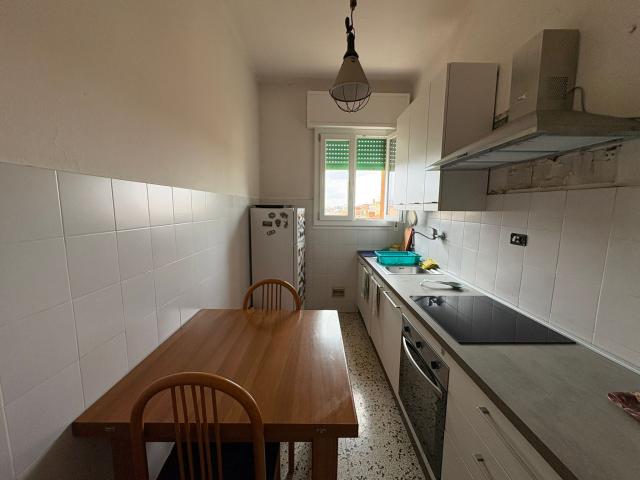 Appartamento in Affitto Bologna Murri