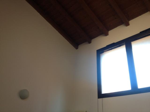 Appartamento in Affitto Bologna Santa Viola