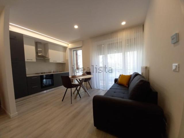 Appartamento in affitto di 43 m²