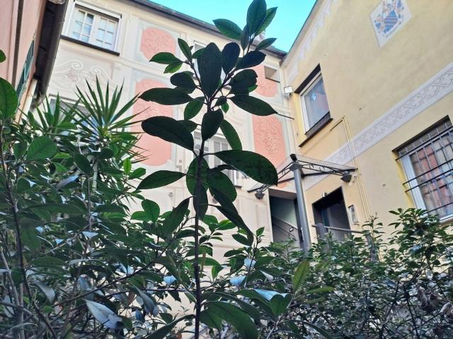 Appartamento in affitto di 40 m² in Piazza Pontedecimo, 5