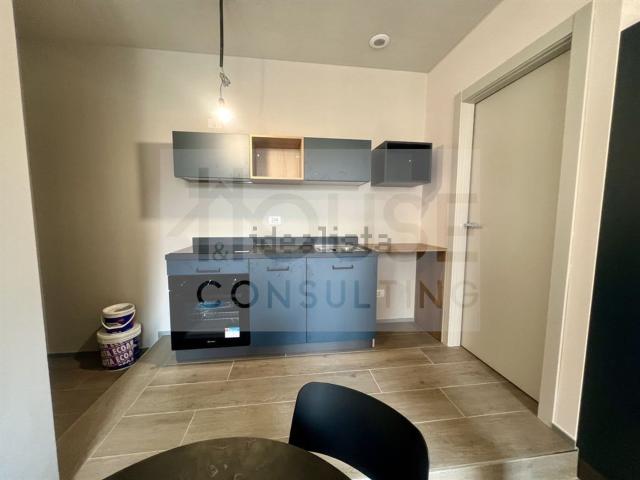 Appartamento in affitto di 40 m² in Via Ludovico Lazzaro Zamenhof, 7