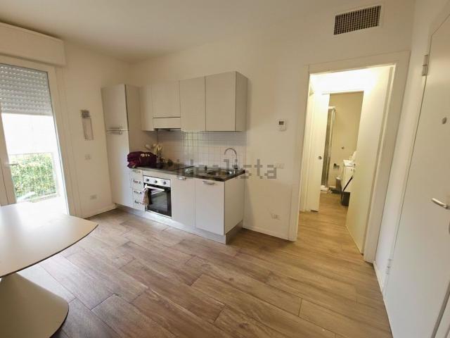 Appartamento in affitto di 40 m² in Viale Fabio Filzi