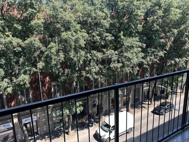 Appartamento in affitto di 41 m² in Via M. Buonarroti, 90