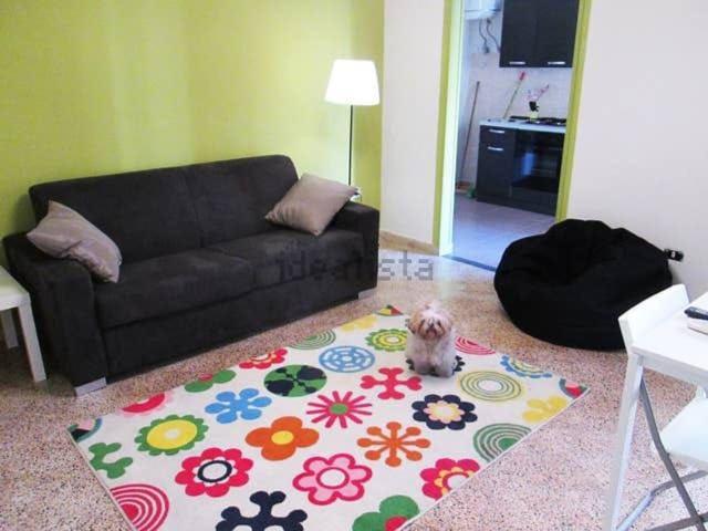 Appartamento in affitto di 45 m² in Via Gennaro Palermo