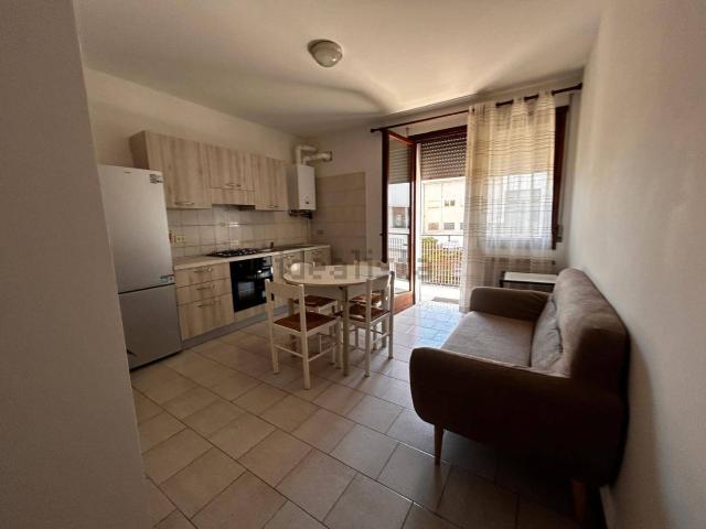 Appartamento in affitto di 45 m² in Viale Erminia Fuà Fusinato, 23