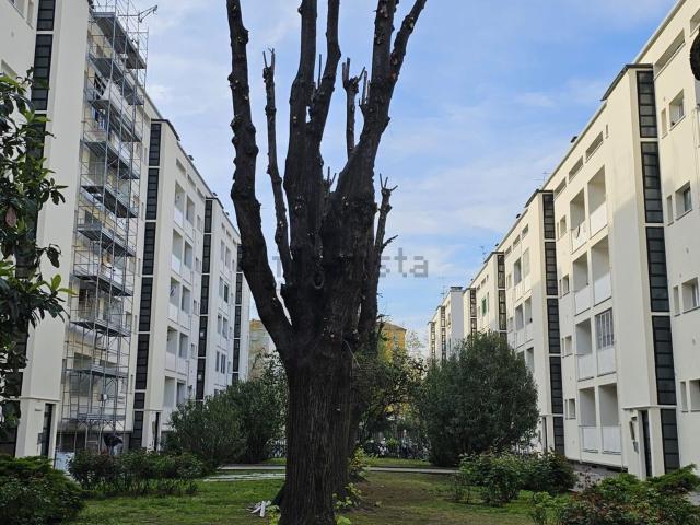 Appartamento in affitto di 48 m² in Via Dalmazio Birago, 4