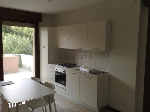 Appartamento in affitto di 53 m² in Viale L. Spellanzon
