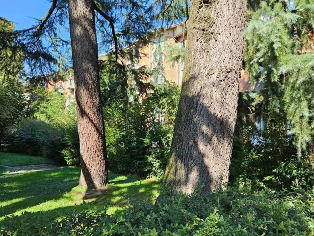 Appartamento in affitto di 50 m² in Via Zante, 32