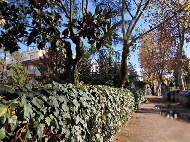 Appartamento in affitto di 50 m² in Via Cassia