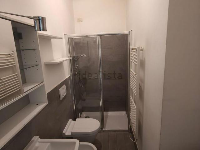 Appartamento in affitto di 50 m² in Via Giacomo Watt, 16
