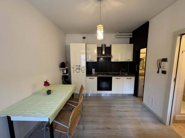 Appartamento in affitto di 50 m² in Via Luigi Dottesio, 13