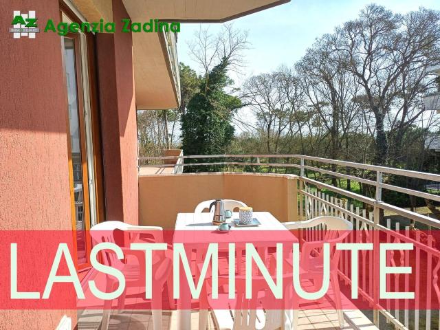 Appartamento in affitto di 50 m² in Viale dei Pini, 66