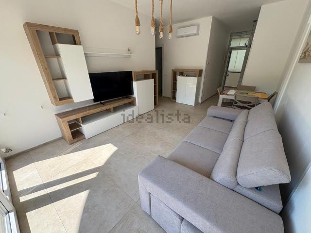Appartamento in affitto di 50 m² in Viale delle Nazioni, 45