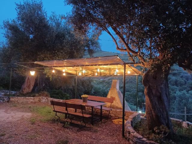 Appartamento in affitto di 50 m²