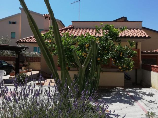 Appartamento in affitto di 55 m² in Via Montecristo
