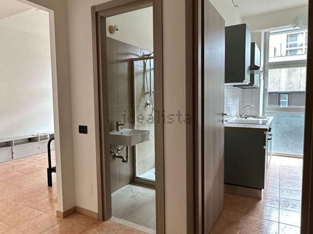 Appartamento in affitto di 55 m² in Viale Evaristo Stefini