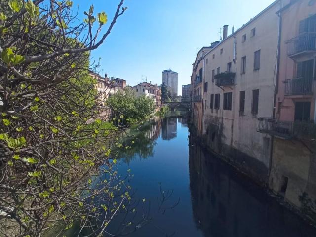 Appartamento in affitto di 55 m²