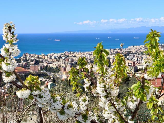 Appartamento in affitto di 56 m²