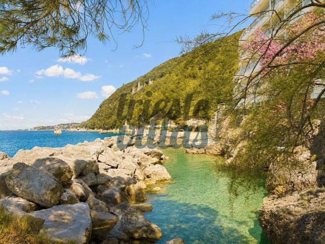 Appartamento in affitto di 58 m² in Località Aurisina