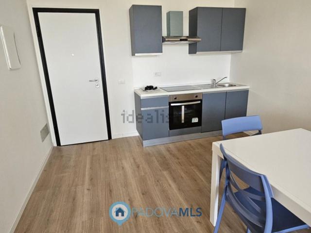 Appartamento in affitto di 59 m² in Via Luigi Pellizzo, 16