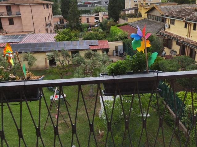Appartamento in affitto di 63 m² in Via Ubaldo Montelatici