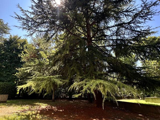 Appartamento in affitto di 60 m² in Via Don Lorenzo Milani