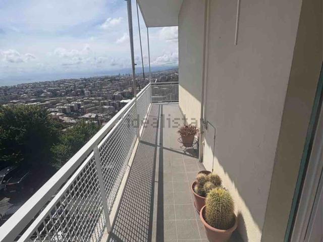 Appartamento in affitto di 60 m² in Via Mario Mazza
