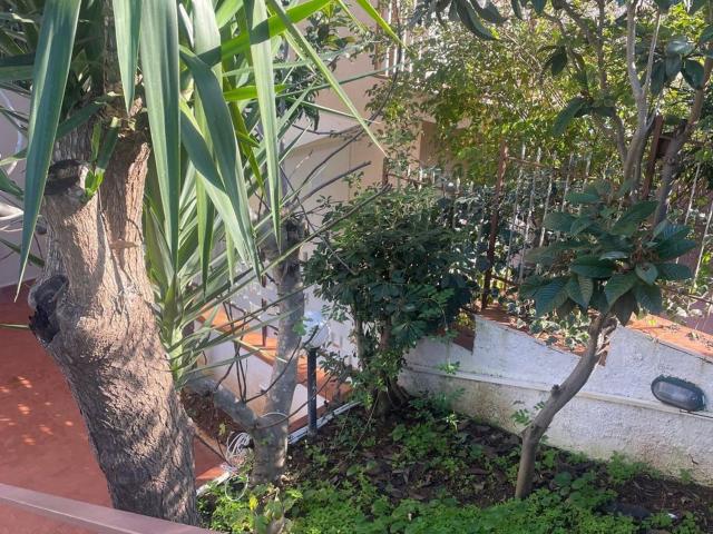 Appartamento in affitto di 60 m² in Viale dell&apos Olimpo