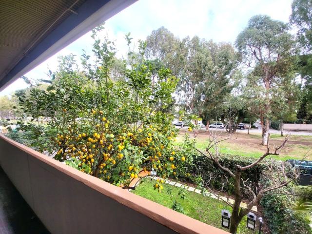 Appartamento in affitto di 60 m² in Viale Prassilla