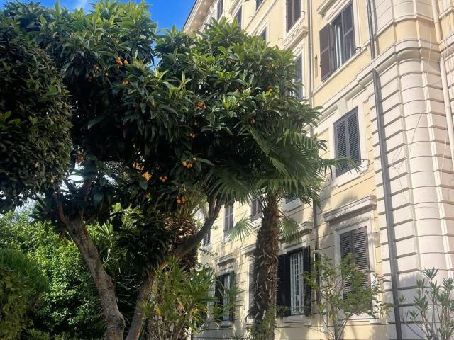 Appartamento in affitto di 83 m² in Via Gaetano Donizetti