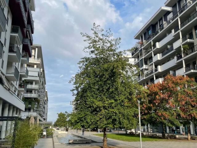 Appartamento in affitto di 90 m² in Via Bruno Cassinari, 7