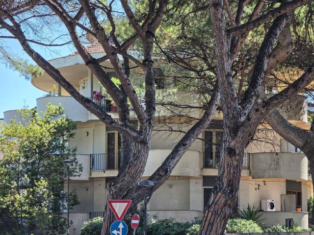 Appartamento in affitto di 95 m² in Viale Paolo de Cecco, 49