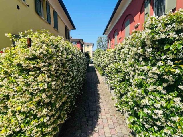 Appartamento in affitto di 103 m² in Strada Fossa Monda Centro