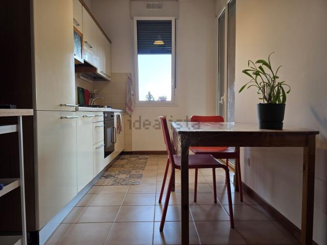 Appartamento in affitto di 110 m² in Viale Angelo Masini, 56