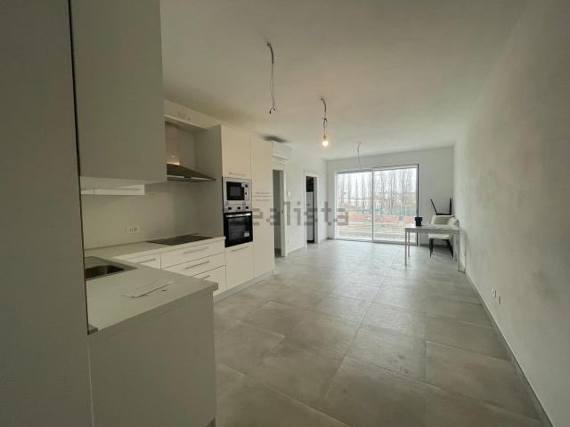 Appartamento in affitto di 110 m² in Via Felice Cavallotti, 3