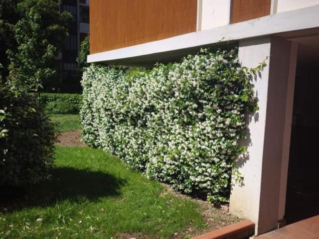 Appartamento in affitto di 118 m² in Via Carlo Pisacane
