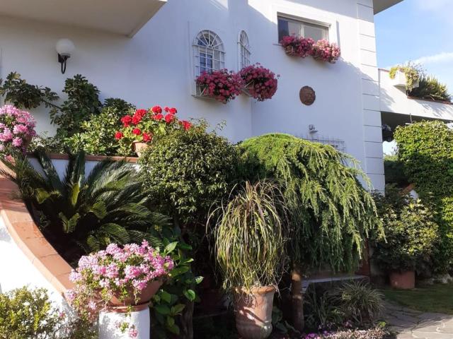 Appartamento in affitto di 130 m² in Via Masseria Vecchia