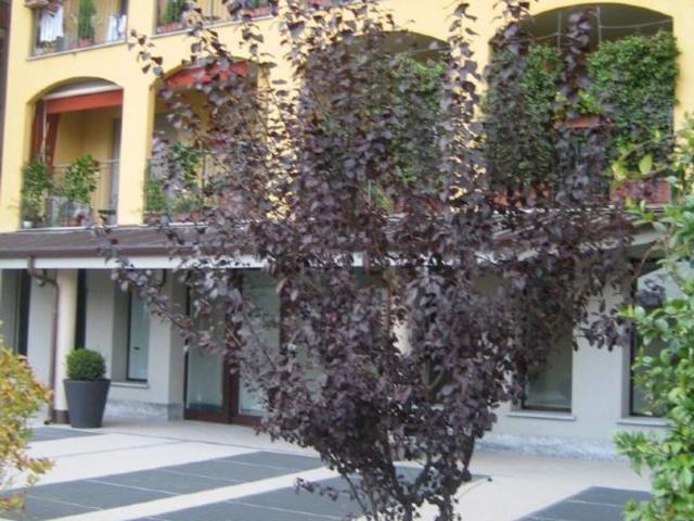 Appartamento in affitto di 135 m² in Via Giovanni Balilla Magistri, 2