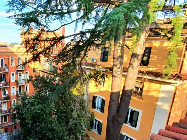 Appartamento in affitto di 182 m² in Via Volsinio