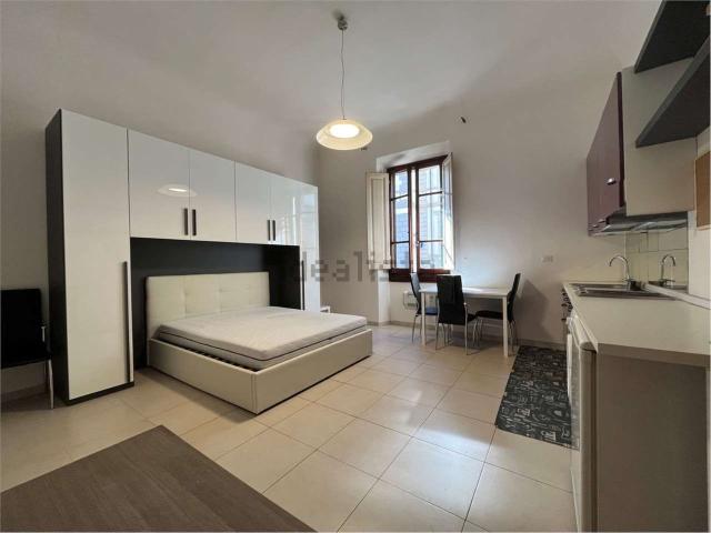Appartamento in affitto di 20 m² in Via Vincenzo Borghini, 18