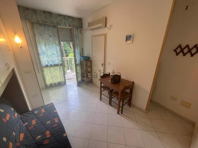 Appartamento in affitto di 20 m² in Viale Giosuè Carducci, 126