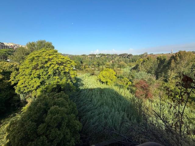 Appartamento in affitto di 235 m² in Via G. Fabbroni, 24