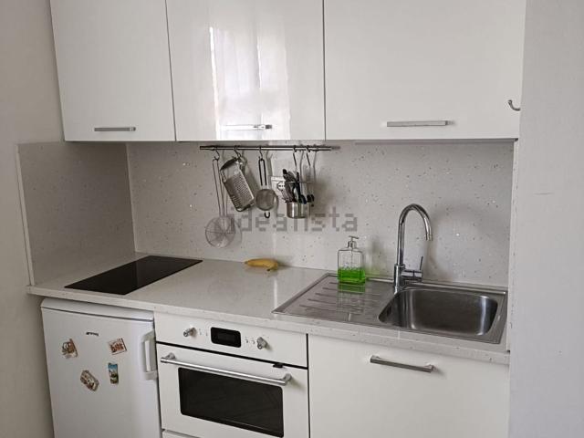Appartamento in affitto di 26 m² in Via Camillo Ranzani, 1