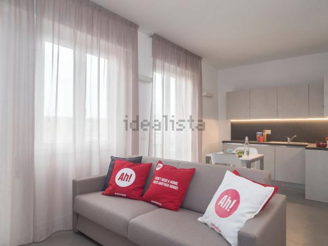 Appartamento in affitto di 28 m² in Via Mosè Bianchi, 94