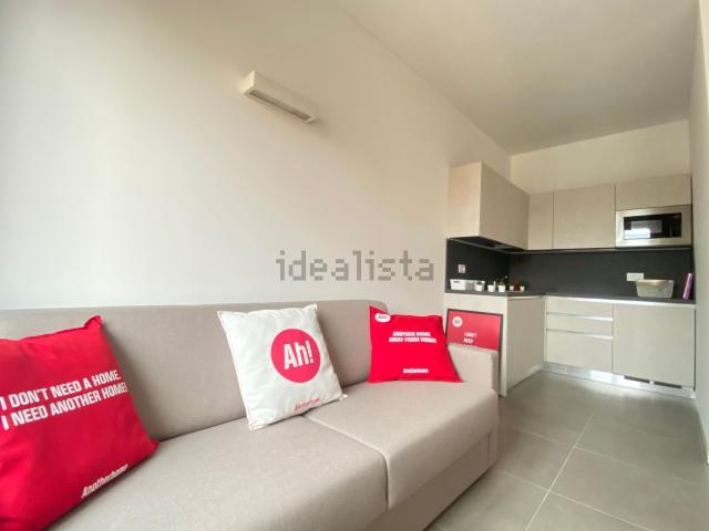 Appartamento in affitto di 29 m² in Via Mosè Bianchi, 94