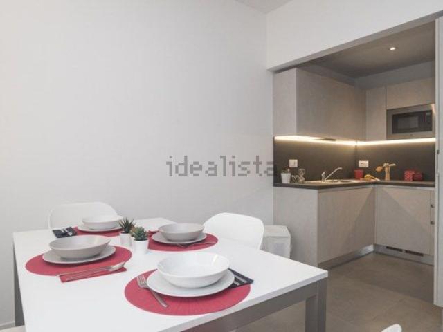 Appartamento in affitto di 33 m² in Via Mosè Bianchi, 94