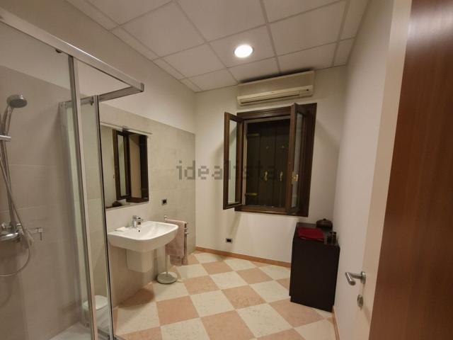 Appartamento in affitto di 300 m²