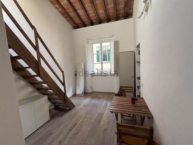 Appartamento in affitto di 30 m² in Borgo San Frediano, 56