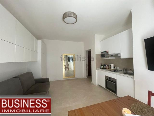 Appartamento in affitto di 30 m² in Via Nicola Fabrizi, 4